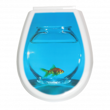 Сиденье для унитаза Lilia 07989 