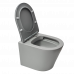Унитаз подвесной Infinitio матовый серый SATINF010RREXPLGRM