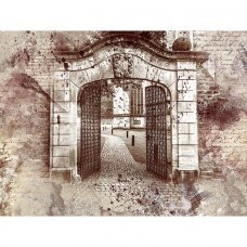 Фотообои Винтажные ворота 02-045 320x250см