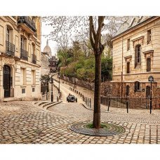 Фотообои Старый город Франция 02-048 310x250см
