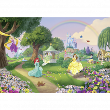 Фотообои Disney Princess Rainbow 8-449 368х254см