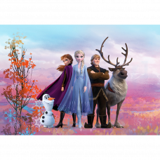 Фотообои Frozen Iconic 8-4103 368х254см