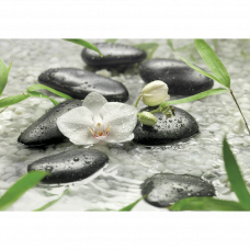 Фотообои Pura 8-319 368х254см