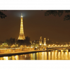Фотообои Nuit d'Or 4-321 184х254см