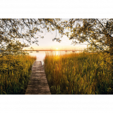 Фотообои Lakeside XXL4-052 368x248см