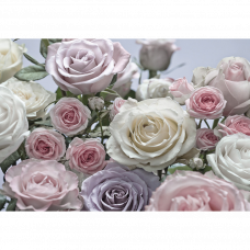 Фотообои Floraison 8-736 368x254см
