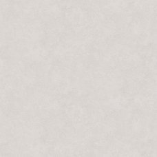 Обои 10х1.06м Friend 285967