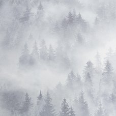 Обои 1.06м HC71960-14