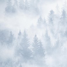 Обои 1.06м HC71960-46