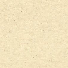 Oбои винил/флизелин Selection 520842 10x0.53м