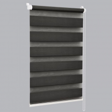 Ролеты День-Ночь Мини антрацит СРШ-45818 57х160см