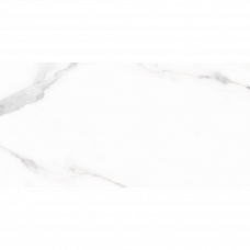 Плитка настенная Livorno Gris 80I 25x50см