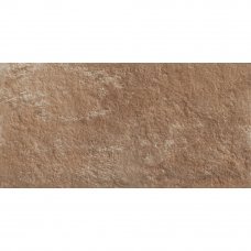 Керамогранит Fuentede Brown 19E 30x60см