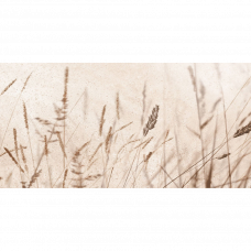 Декор Icon Beige набор 2шт. 15I 25x50см