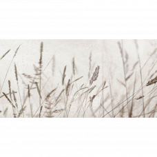 Декор Icon Gris набор 2шт. 12I 25x50см